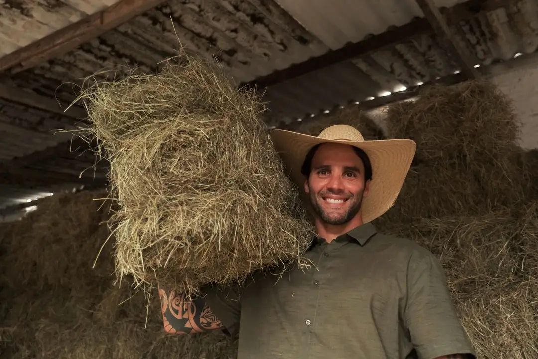 Daniel Cady: no campo
